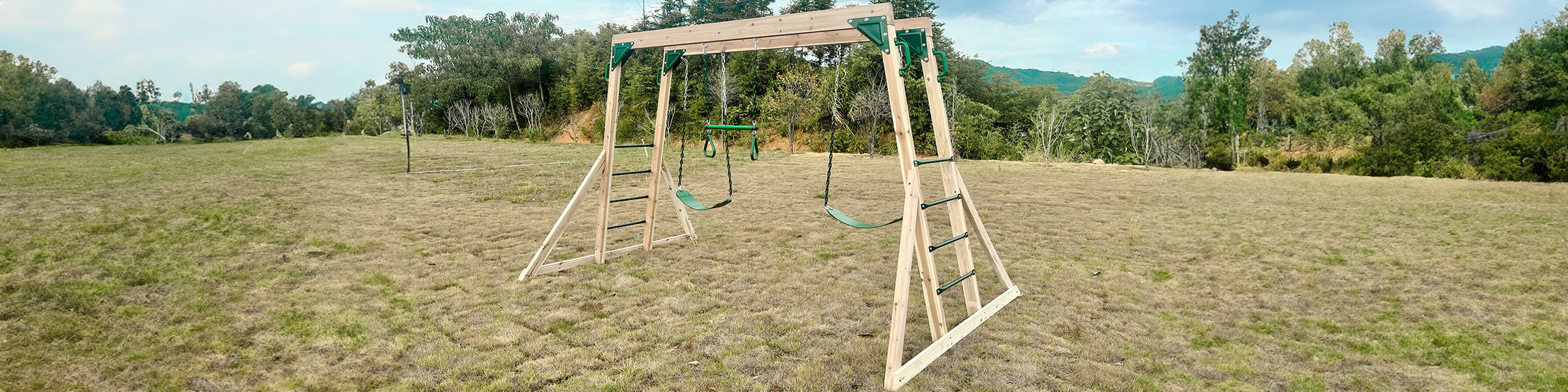 Swing Set with Monkey bars