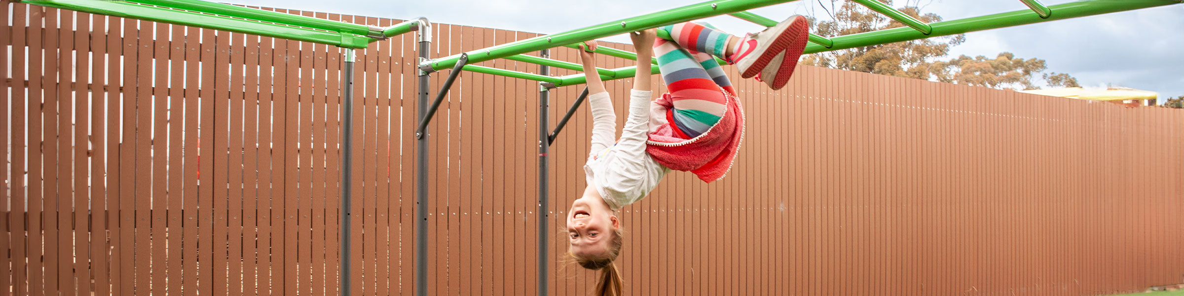 Monkey Bar Playground