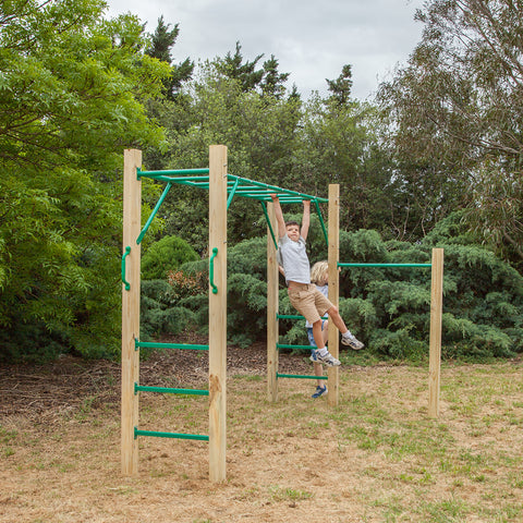 Monkey Bar Playground