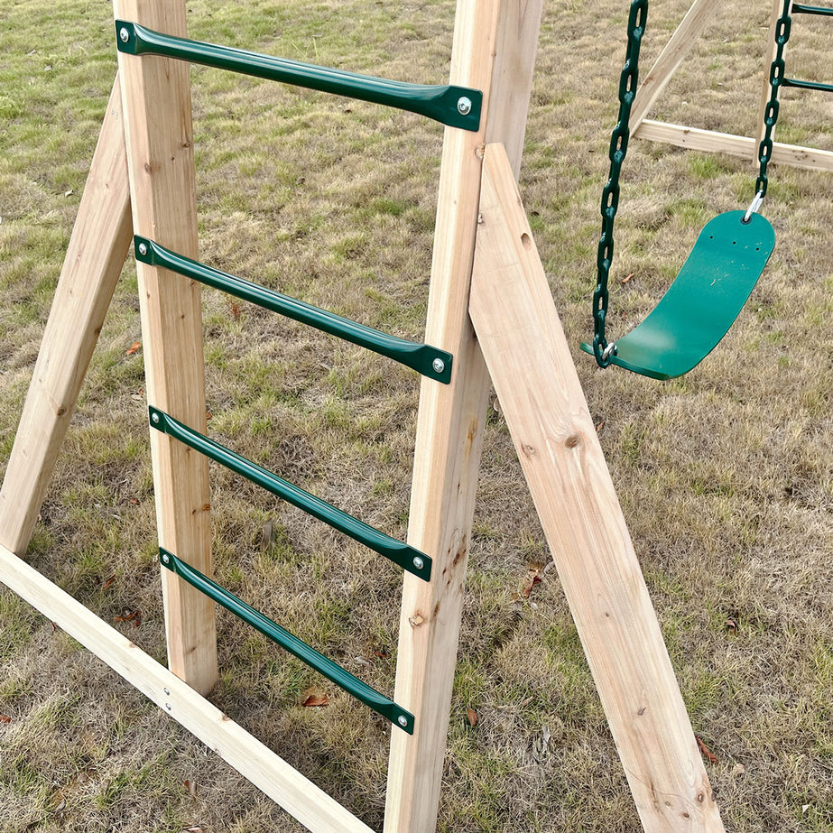 Daintree 2-in-1 Monkey Bars & Swing Set